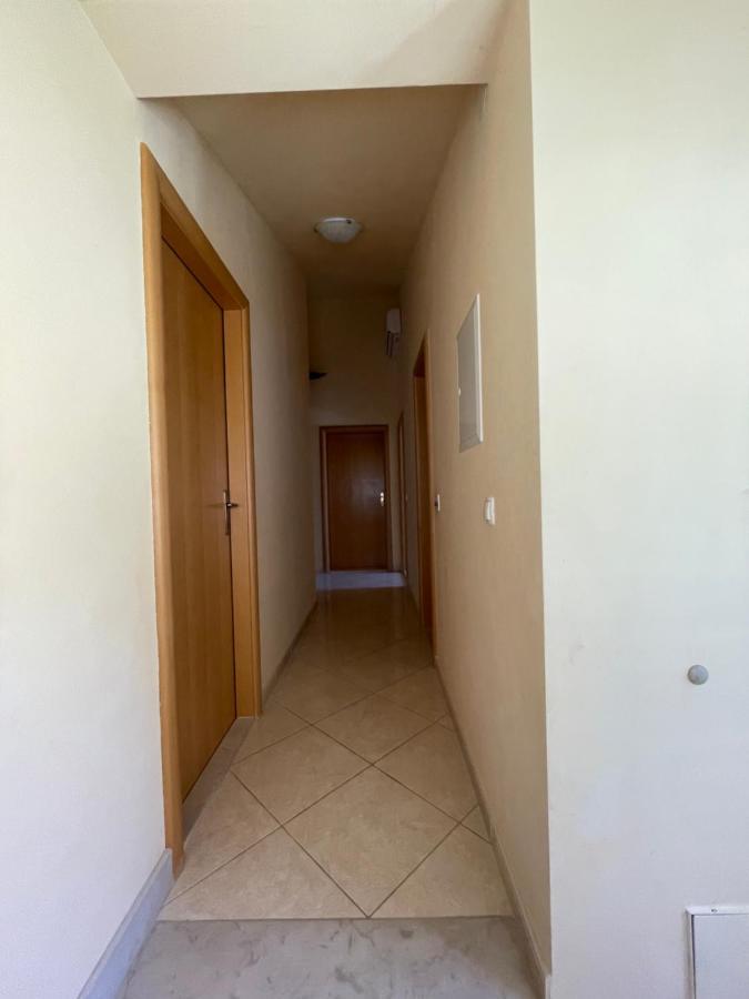 Apartment Nikola Рогозница Экстерьер фото
